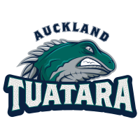Logo Team 1