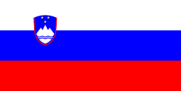 Logo Team 1