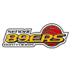 Logo Team 1