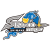 Logo Team 1