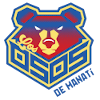 Logo Team 1