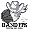 Logo Team 1