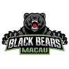 Logo Team 1