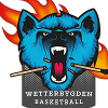 Logo Team 1