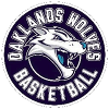 Logo Team 1