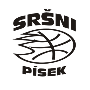 Logo Team 2