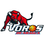 Logo Team 2